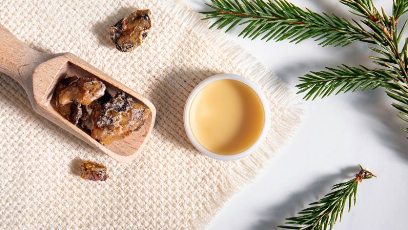 Že poznate smrekovo mazilo: Uporaba privede do olajšanja