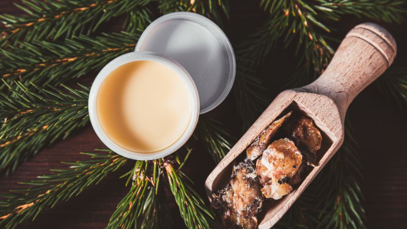 Smrekovo mazilo uporaba